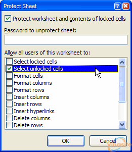 Lock Cell Excel
